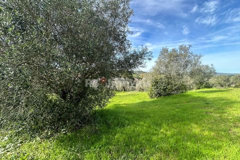 Terra a Assentiz, Santarem, Assentiz - € 60.000 | Ref: 01516-25 - foto 31
