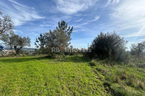 Terra a Assentiz, Santarem, Assentiz - € 60.000 | Ref: 01516-25 - foto 32