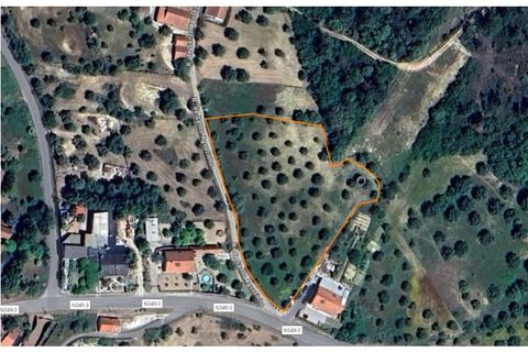Terra a Assentiz, Santarem, Assentiz - € 60.000 | Ref: 01516-25 - foto 33