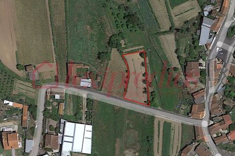 Helårsgrund i Agueda, Aveiro, Agueda - € 21.500 | Ref: AG 4278 - foto 1