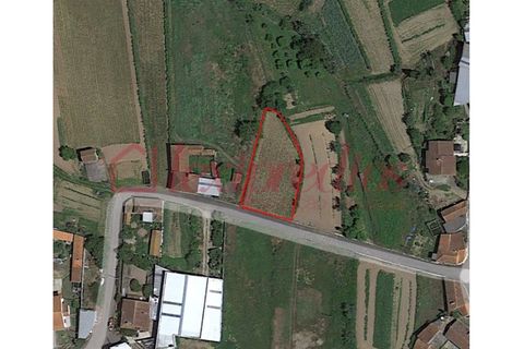 Helårsgrund i Agueda, Aveiro, Agueda - € 21.000 | Ref: AG 4279 - foto 1