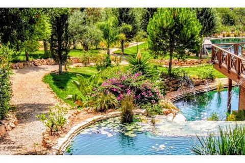 Villa a Estoi, Faro, Estoi - € 8.685.000 | Ref: MRT12147 - foto 14