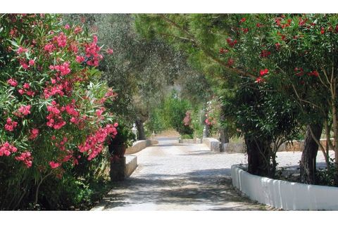 Villa a Estoi, Faro, Estoi - € 8.685.000 | Ref: MRT12147 - foto 19
