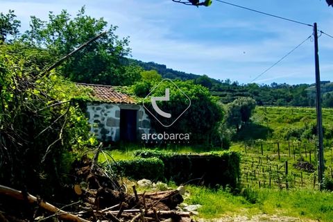Farm i Ponte da Barca, Viana do Castelo, Ponte da Barca - € 120.000 | Ref: AV6343 - foto 1