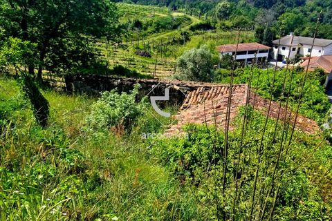 Farm i Ponte da Barca, Viana do Castelo, Ponte da Barca - € 120.000 | Ref: AV6343 - foto 4