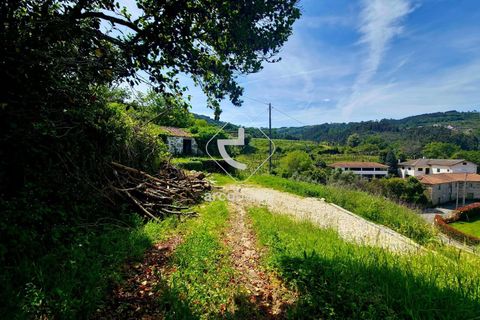 Farm i Ponte da Barca, Viana do Castelo, Ponte da Barca - € 120.000 | Ref: AV6343 - foto 5