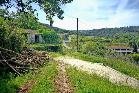 Farm i Ponte da Barca, Viana do Castelo, Ponte da Barca - € 120.000 | Ref: AV6343 - foto 11
