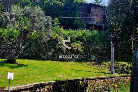 Farm i Ponte da Barca, Viana do Castelo, Ponte da Barca - € 120.000 | Ref: AV6343 - foto 12