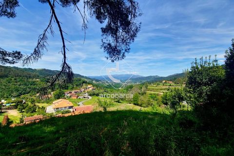 Farm i Ponte da Barca, Viana do Castelo, Ponte da Barca - € 120.000 | Ref: AV6343 - foto 13