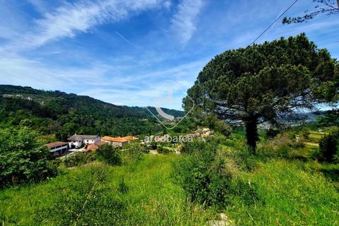 Farm i Ponte da Barca, Viana do Castelo, Ponte da Barca - € 120.000 | Ref: AV6343 - foto 15