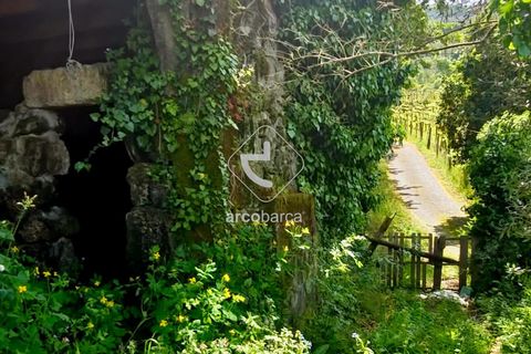 Farm i Ponte da Barca, Viana do Castelo, Ponte da Barca - € 120.000 | Ref: AV6343 - foto 16