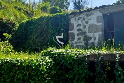Farm i Ponte da Barca, Viana do Castelo, Ponte da Barca - € 120.000 | Ref: AV6343 - foto 17