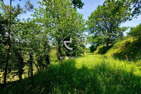 Farm i Ponte da Barca, Viana do Castelo, Ponte da Barca - € 120.000 | Ref: AV6343 - foto 22