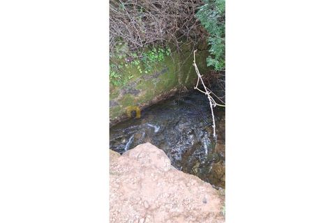 Terra a Loule, Faro, Loule - € 30.000 | Ref: TE-02 (PR-092) - foto 12