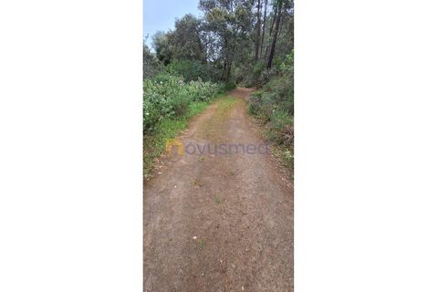 Terra a Loule, Faro, Loule - € 30.000 | Ref: TE-02 (PR-092) - foto 13