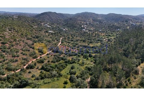 Terra a Loule, Faro, Loule - € 30.000 | Ref: TE-02 (PR-092) - foto 6