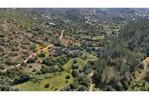 Terra a Loule, Faro, Loule - € 30.000 | Ref: TE-02 (PR-092) - foto 7