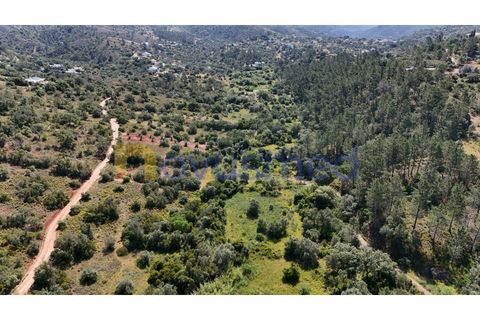 Terra a Loule, Faro, Loule - € 30.000 | Ref: TE-02 (PR-092) - foto 8