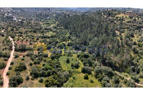 Terra a Loule, Faro, Loule - € 30.000 | Ref: TE-02 (PR-092) - foto 9