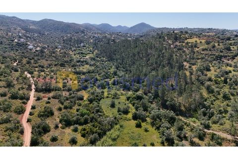 Terra a Loule, Faro, Loule - € 30.000 | Ref: TE-02 (PR-092) - foto 10