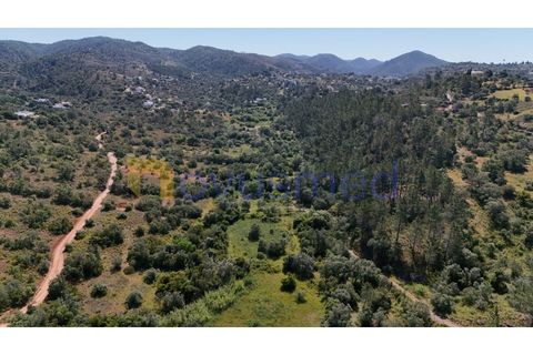 Terra a Loule, Faro, Loule - € 30.000 | Ref: TE-02 (PR-092) - foto 11