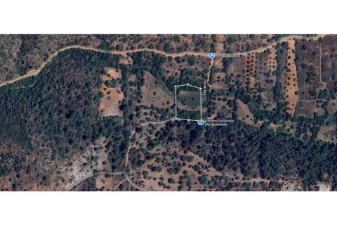 Terra a Loule, Faro, Loule - € 30.000 | Ref: TE-02 (PR-092) - foto 14
