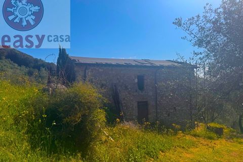 Landejendom i Lucca, Lucca, Lucca - € 180.000 | Ref: 1274 - foto 2