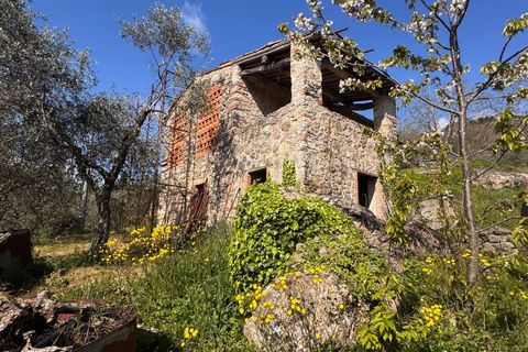 Landejendom i Lucca, Lucca, Lucca - € 180.000 | Ref: 1274 - foto 4