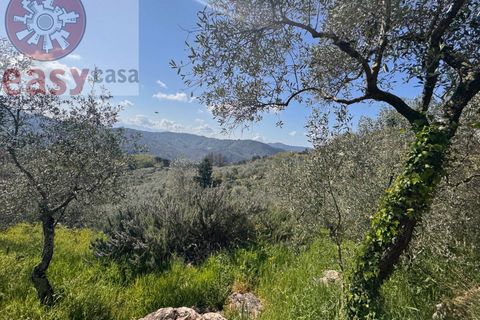 Landejendom i Lucca, Lucca, Lucca - € 180.000 | Ref: 1274 - foto 6