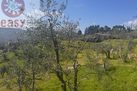 Landejendom i Lucca, Lucca, Lucca - € 180.000 | Ref: 1274 - foto 7