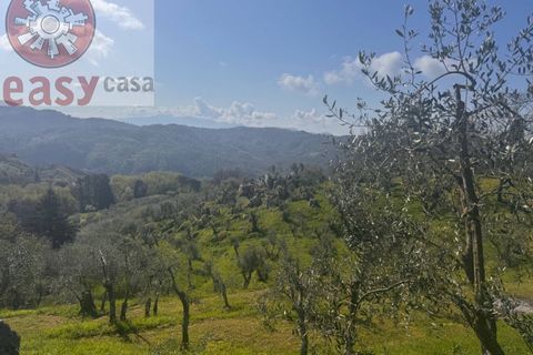 Landejendom i Lucca, Lucca, Lucca - € 180.000 | Ref: 1274 - foto 8