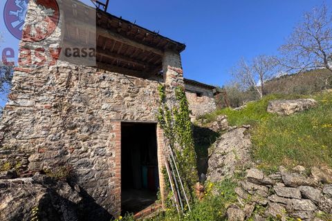 Landejendom i Lucca, Lucca, Lucca - € 180.000 | Ref: 1274 - foto 11