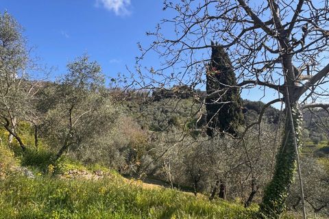 Landejendom i Lucca, Lucca, Lucca - € 180.000 | Ref: 1274 - foto 12