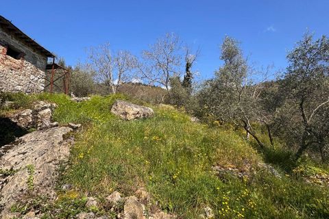 Landejendom i Lucca, Lucca, Lucca - € 180.000 | Ref: 1274 - foto 13