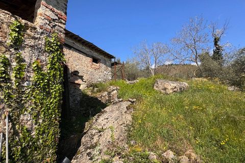 Landejendom i Lucca, Lucca, Lucca - € 180.000 | Ref: 1274 - foto 14