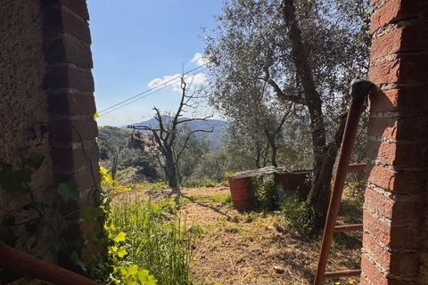 Landejendom i Lucca, Lucca, Lucca - € 180.000 | Ref: 1274 - foto 16
