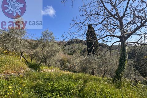 Landejendom i Lucca, Lucca, Lucca - € 180.000 | Ref: 1274 - foto 17
