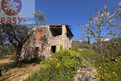 Landejendom i Lucca, Lucca, Lucca - € 180.000 | Ref: 1274 - foto 20