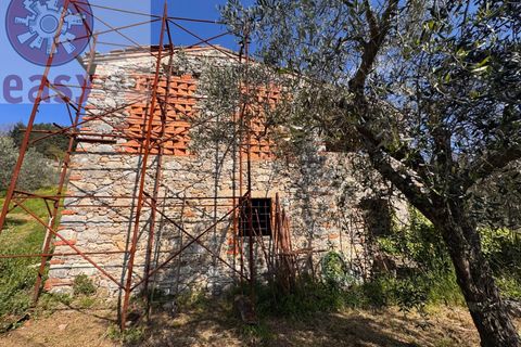Landejendom i Lucca, Lucca, Lucca - € 180.000 | Ref: 1274 - foto 21