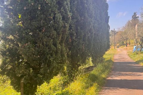 Landejendom i Lucca, Lucca, Lucca - € 180.000 | Ref: 1274 - foto 22