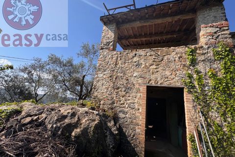 Landejendom i Lucca, Lucca, Lucca - € 180.000 | Ref: 1274 - foto 28