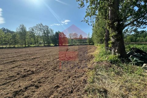 Helårsgrund i Vila Verde, Braga, Vila Verde - € 30.000 | Ref: 08620 - foto 8