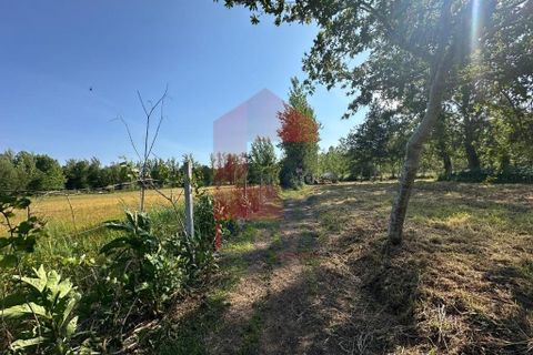 Helårsgrund i Vila Verde, Braga, Vila Verde - € 30.000 | Ref: 08620 - foto 11