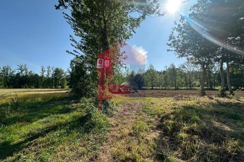 Helårsgrund i Vila Verde, Braga, Vila Verde - € 30.000 | Ref: 08620 - foto 18