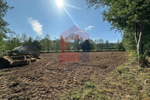 Helårsgrund i Vila Verde, Braga, Vila Verde - € 30.000 | Ref: 08620 - foto 19