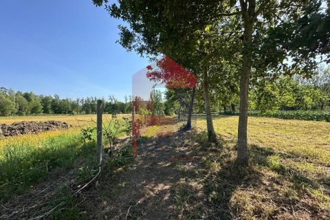 Helårsgrund i Vila Verde, Braga, Vila Verde - € 30.000 | Ref: 08620 - foto 21