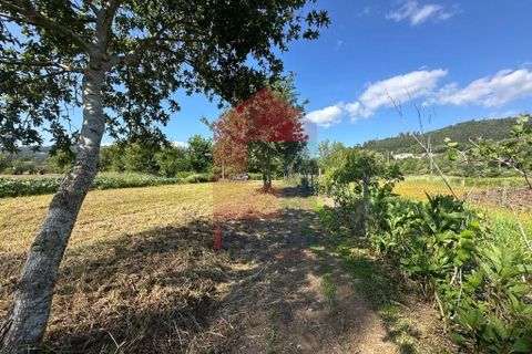 Helårsgrund i Vila Verde, Braga, Vila Verde - € 30.000 | Ref: 08620 - foto 22