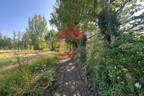 Helårsgrund i Vila Verde, Braga, Vila Verde - € 30.000 | Ref: 08620 - foto 23