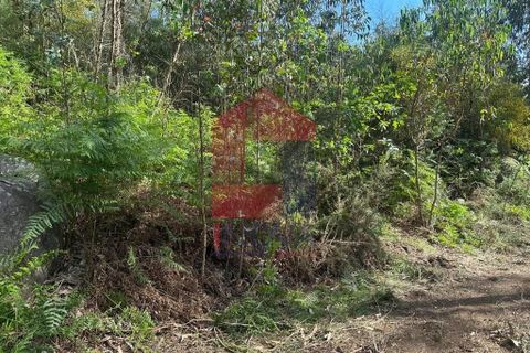 Helårsgrund i Vila Verde, Braga, Vila Verde - € 20.000 | Ref: 08625 - foto 13