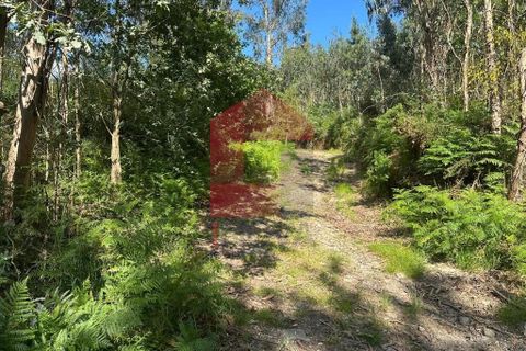Helårsgrund i Vila Verde, Braga, Vila Verde - € 20.000 | Ref: 08625 - foto 14